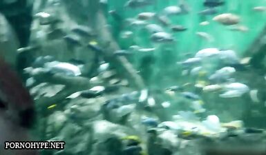 Бесстыжая Эмми Россам: горячий секс под водой!